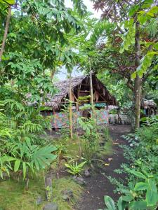 a building with a thatched roof in a forest at Ash and Ocean BUNGALOW in Loméméti