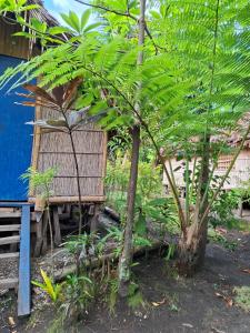 a small house with a palm tree in front of it at Ash and Ocean BUNGALOW in Loméméti