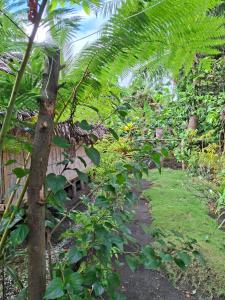 a garden with a bench and a bunch of plants at Ash and Ocean BUNGALOW in Loméméti