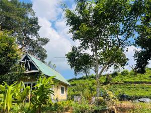 a small house on a hill with a tree at Kekulama Eco Cabana Galle in Galle
