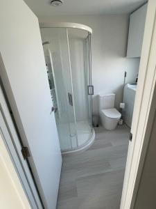 a bathroom with a shower and a toilet at Blacksmith's Rest in New Plymouth +14 photos