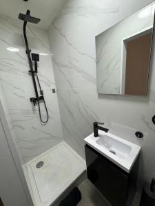 a bathroom with a shower and a sink and a mirror at Stylish 1BR Apartment with Sofa Bed in the Heart of Liège in Liège