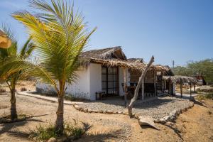 a house with a palm tree in front of it at kontiki in Máncora