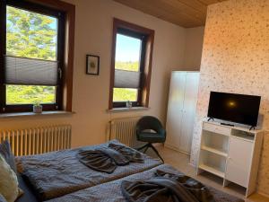 a bedroom with a bed and a television and two windows at Pension moos & morgenrot - St Andreasberg in Sankt Andreasberg
