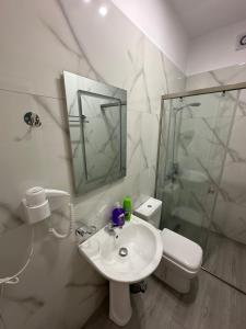 a bathroom with a sink and a toilet and a mirror at Visi Villa Berat in Berat +37 photos