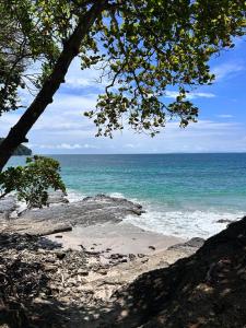 a view of the ocean from a beach with a tree at Casa Mate y Mar in Punta Leona