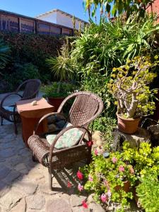 a patio with two chairs and a table and flowers at Hostal El Punto in La Serena +100 photos