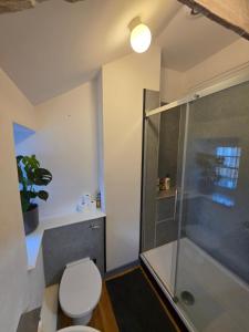 a bathroom with a shower and a toilet and a sink at Postmasters House in Helston +44 photos