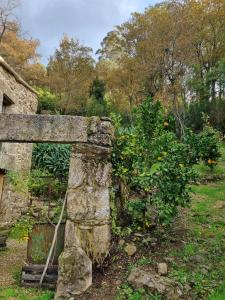 a stone wall next to a garden with flowers at Entrerobles - Casiña Cereixa in La Cañiza