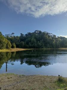a body of water with trees in the background at Luz de mareas in Ancud