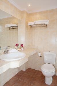 a bathroom with a sink and a toilet at Ganet Sinai Resort in Dahab