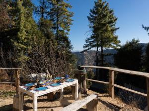 a table with plates of food on top of it at Nomad Eco Retreat in Shimla +53 photos