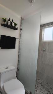 a bathroom with a white toilet and a shower at Comfortable apartment with parking near AIFA in Santa Cruz Tecamac +9 photos