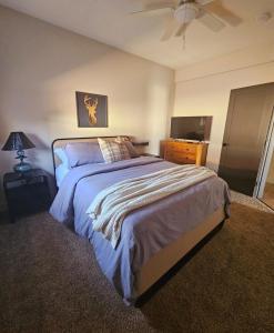 a bedroom with a large bed and a television at Charming New Lake House in Pierre