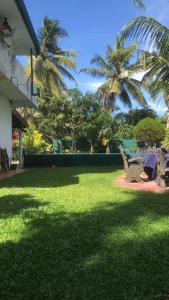 a lawn with chairs and palm trees in a yard at Feel side villa in Induruwa