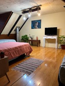 a bedroom with a bed and a television in a attic at Cochrane hostal in Los Ángeles