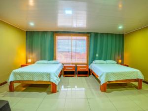 two beds in a room with green walls at The Social Fortuna in Fortuna