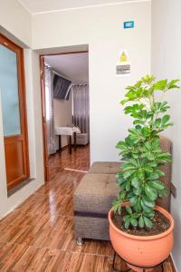 a living room with a couch and a plant at Samakuy Home Arequipa in Arequipa