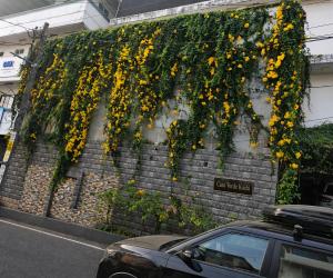 a wall with a bunch of yellow flowers on it at Casa Verde in Cochin