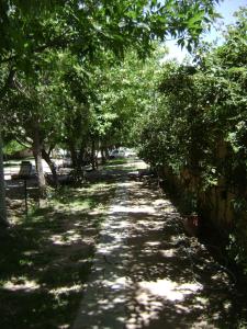 un camino arbolado con árboles a ambos lados en Departamento el Rosedal en San Rafael