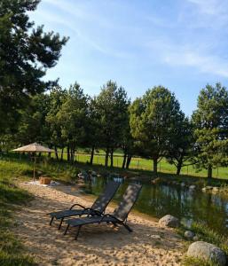 two chairs sitting on a beach next to a river at Pavasario Namai & SPA in Alytus