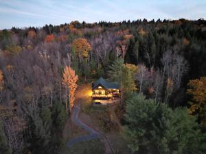 an aerial view of a house in the woods at Mountain View Chalet Ski, Hot Tub, Firepit, Games in Lexington