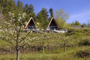 a house on top of a hill with trees at The Crystal Cabin in Jibhi