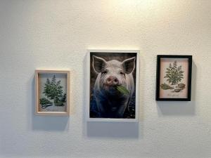 a picture of a pig hanging on a wall at B&B Il Rosmarino in Galliate
