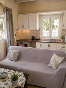 a living room with a couch and a kitchen at Logaki house in Vlachopoulátika