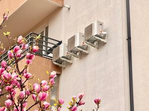 a tree with pink flowers in front of a building at Central Premium Apartment in Braşov