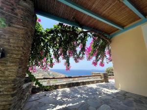 a view of the ocean from a building with flowers at Vila Cleopatra Andros Greece in Andros