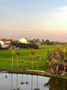 a group of palm trees in a park next to a pond at Laco Villa in Danang