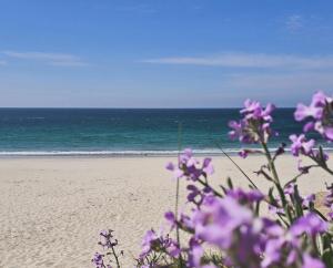 a beach with purple flowers in front of the ocean at L'instant d'évasion Vue mer in Lampaul-Plouarzel