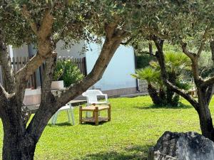 a table and chairs in a yard with trees at Neverland Deluxe in Santa Maria