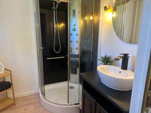 a bathroom with a shower and a sink at La tanière du ptit Lou in Resteigne +40 photos