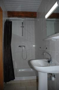 a bathroom with a shower and a sink and a tub at Le Domaine Appartements in Bilstain