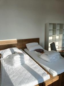 two beds sitting next to each other in a room at Apartmán Procyon in Prostějov