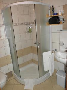 a shower with a glass door in a bathroom at Apartments Čumar in Cerkno +37 photos