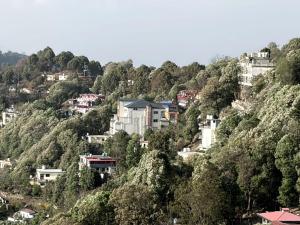 a group of houses on a hill with trees at Rautela Homestay in Lansdowne