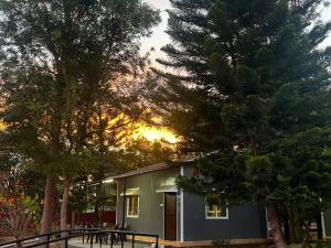 a small house in the middle of some trees at Resort Rover - Sampala in Masinagudi