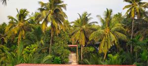 Gallery image of The Sulbha Beach Resort in Diveagar +24 photos