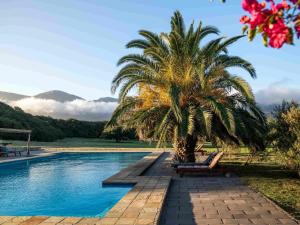 a palm tree sitting next to a swimming pool at Springfontein River Lodge in Stanford