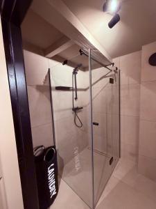 a shower with a glass door in a bathroom at BNB de Victorie Alkmaar in Alkmaar +18 photos