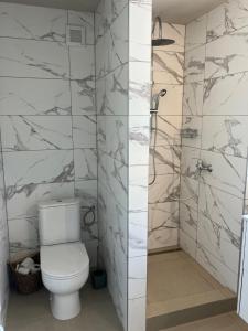 a bathroom with a toilet and a shower at Ubytování ve vinici in Hustopeče +18 photos