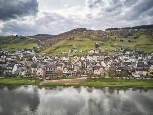 a town on a hill next to a body of water at Ferienwohnung "Haus Lehlgässchen" in Reil