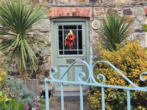 a house with a green door with a bench in front at An Artist's Cottage in Fishguard
