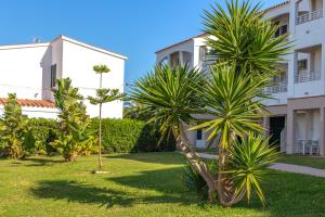 a courtyard with palm trees in front of a building at Apartamento en Cala'n Blanes in Ciutadella