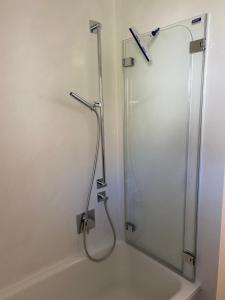a shower with a glass door in a bathroom at Tierparkunterkunft in Goldau