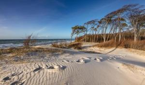 a beach with footprints in the sand next to the water at Gaestehaus-W-13 in Prerow