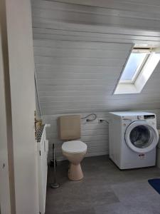 a bathroom with a toilet and a washing machine at Gemütliche Wohnung in Pforzheim in Pforzheim
